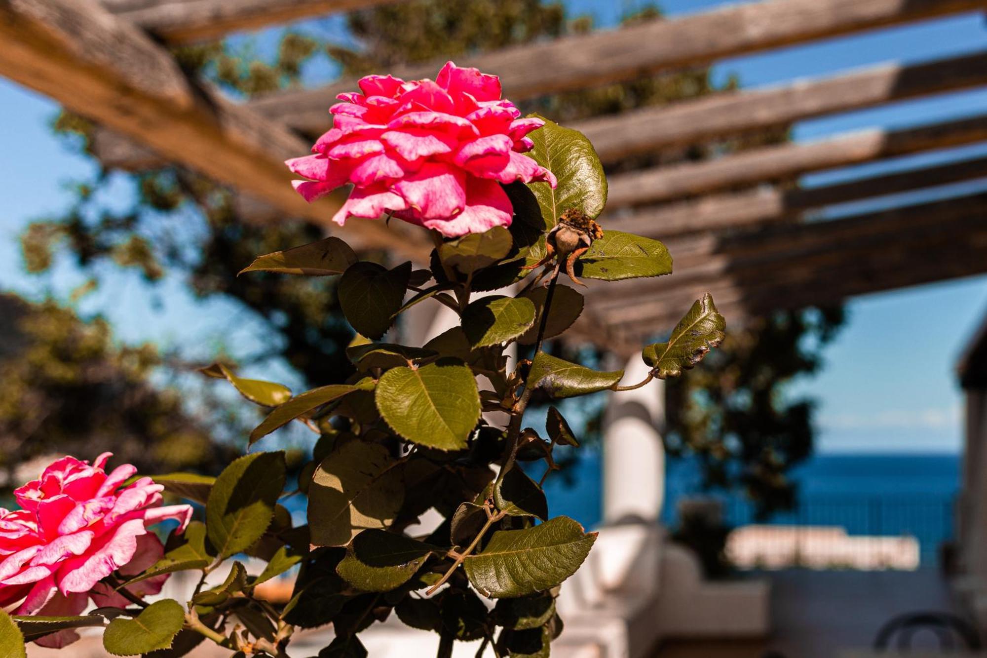 Villa Grazia Lipari ภายนอก รูปภาพ